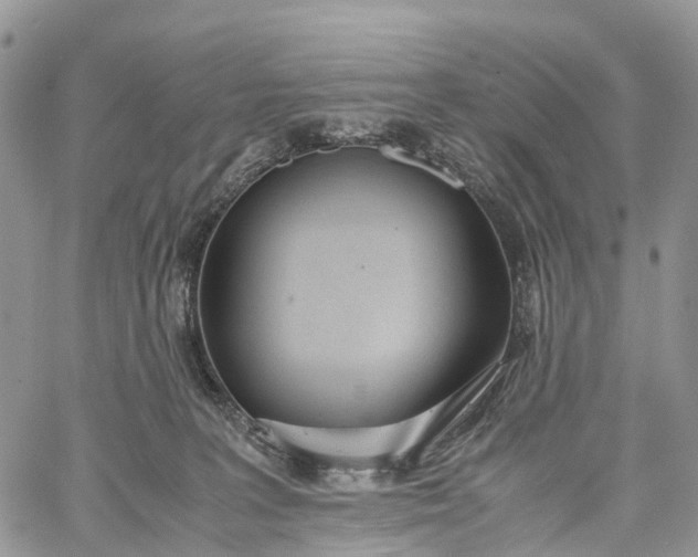 X0000062670227200601041018