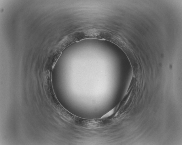 X0000062670229200601041018