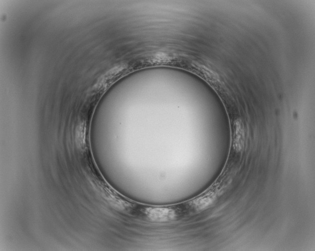 X0000062670230200601041018