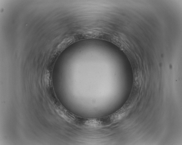 X0000062670231200601041018