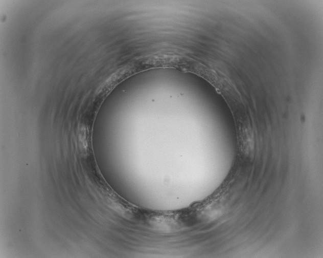 X0000062670232200601041018