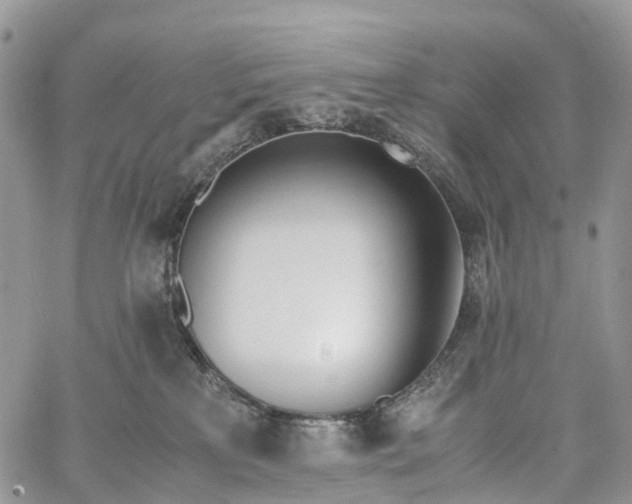 X0000062670233200601041018