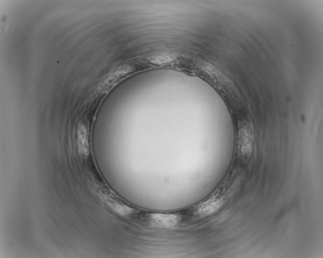 X0000062670234200601041018