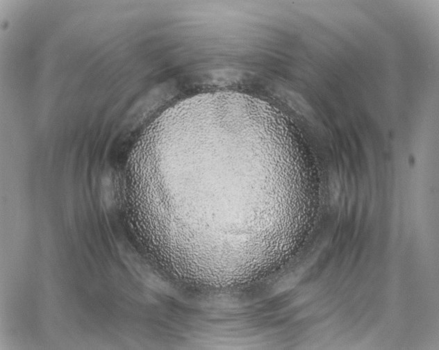 X0000062670236200601041018