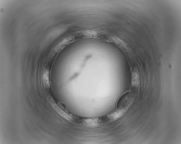 X0000062670238200601041018