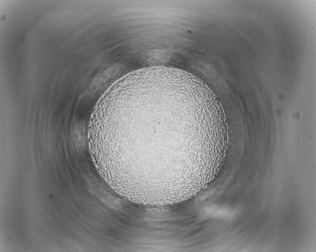 X0000062670240200601041018