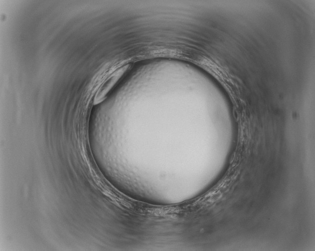 X0000062670241200601041017