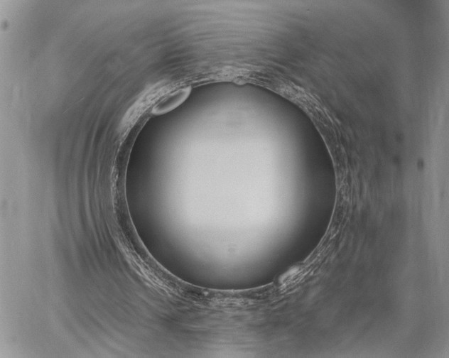 X0000062670242200601041017