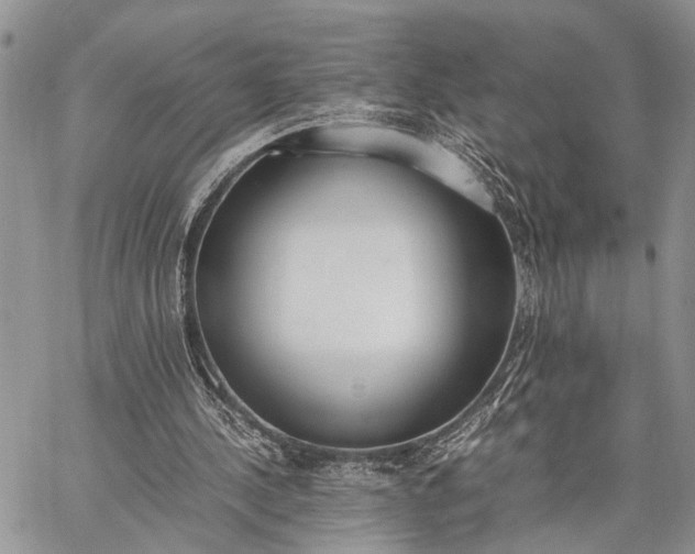 X0000062670244200601041017