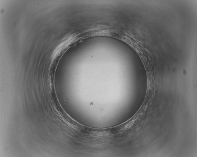 X0000062670245200601041017