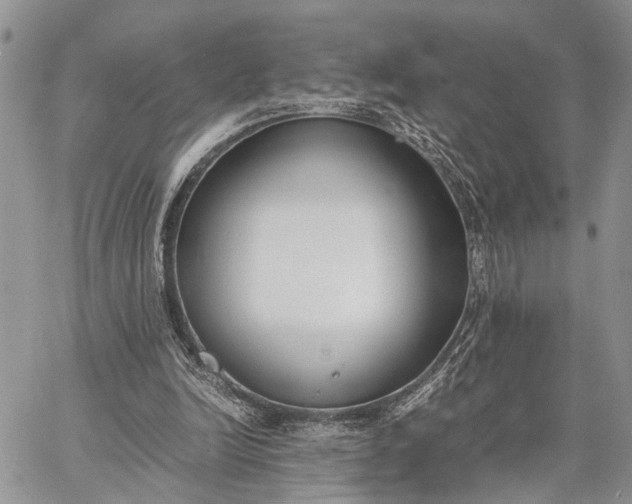 X0000062670246200601041017