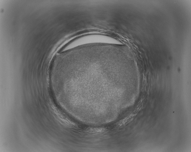 X0000062670247200601041017