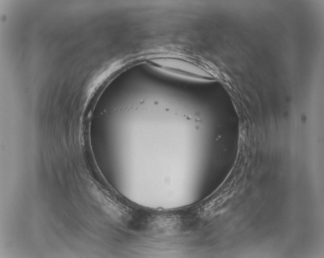 X0000062670248200601041017