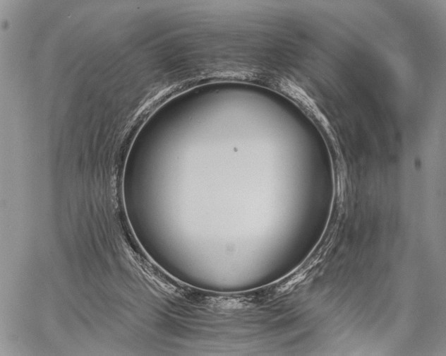 X0000062670249200601041017