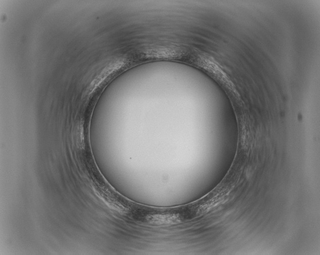 X0000062670251200601041017