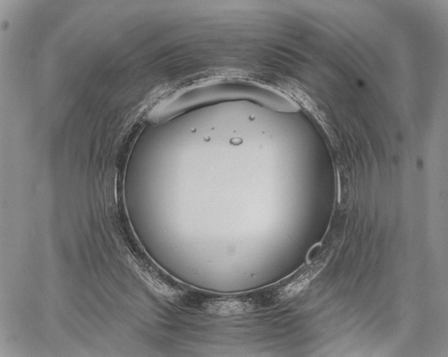 X0000062670253200601041017