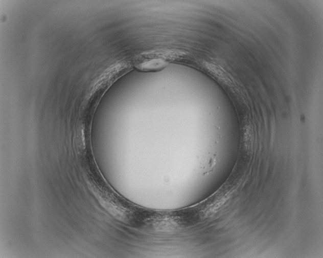 X0000062670254200601041017