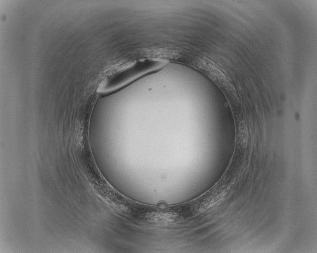 X0000062670255200601041017