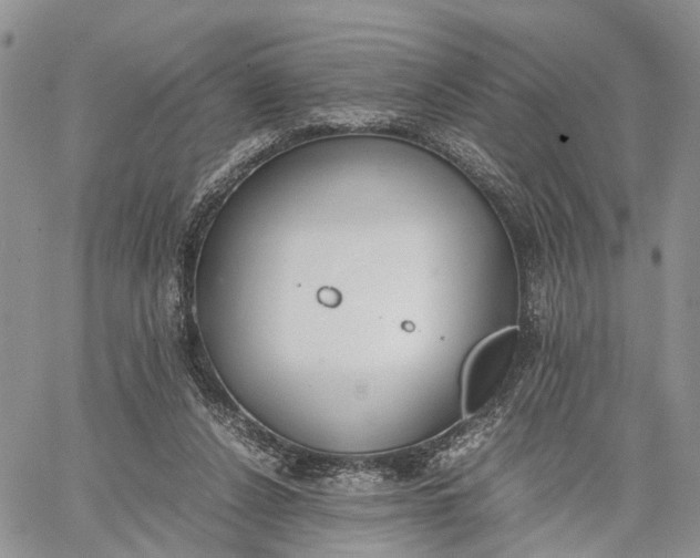 X0000062670256200601041017