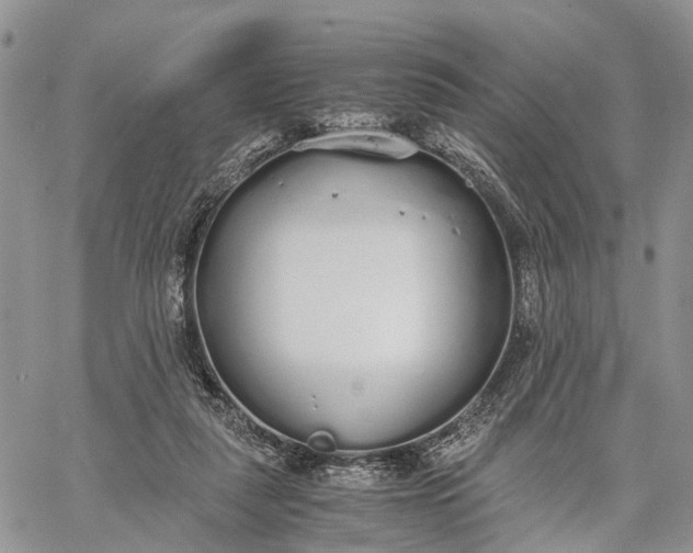 X0000062670259200601041017