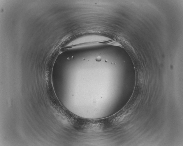 X0000062670260200601041017