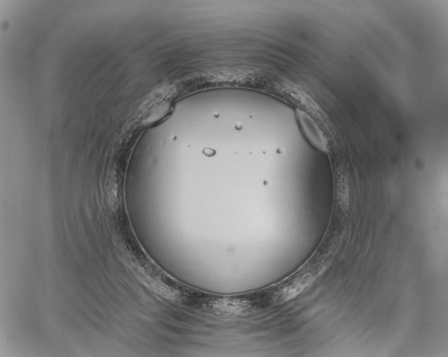 X0000062670261200601041017