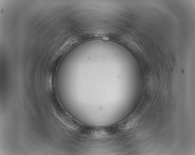 X0000062670262200601041017