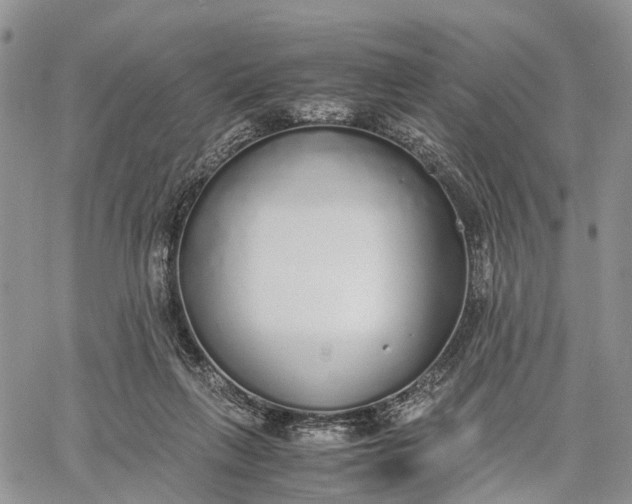 X0000062670263200601041017