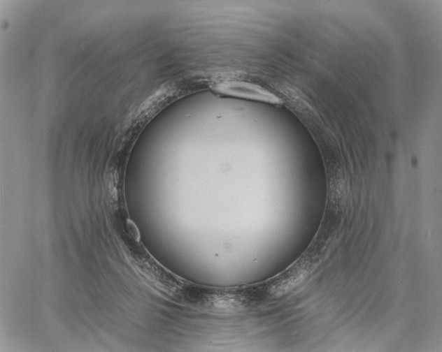 X0000062670264200601041017