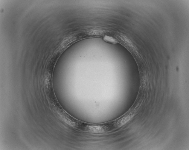 X0000062670265200601041017