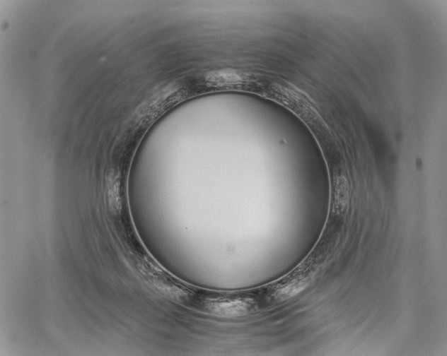 X0000062670267200601041017