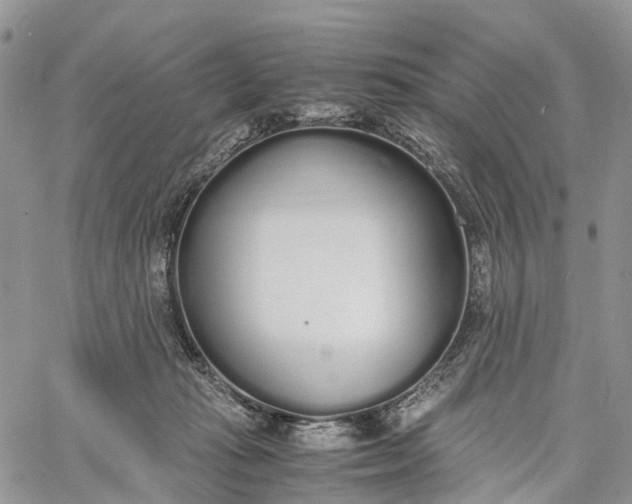 X0000062670269200601041017