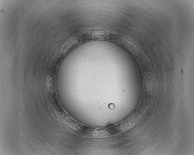 X0000062670270200601041017