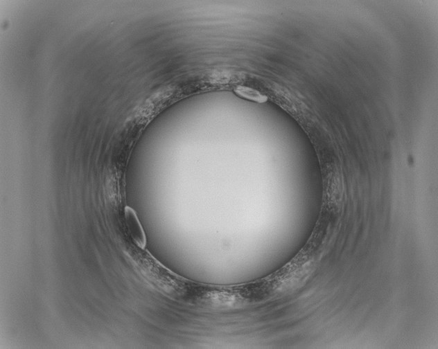 X0000062670272200601041017