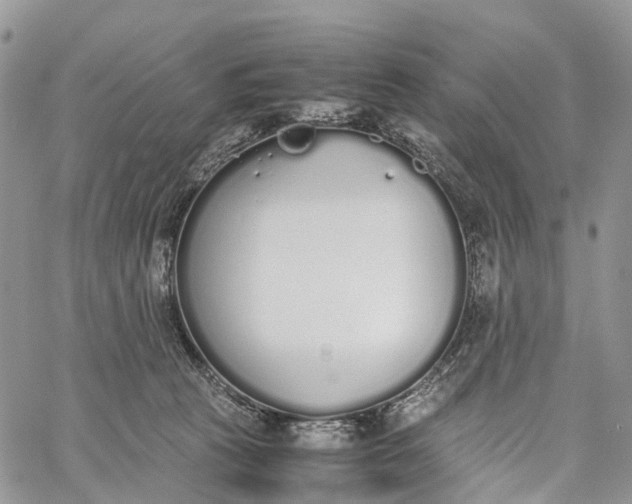 X0000062670273200601041017