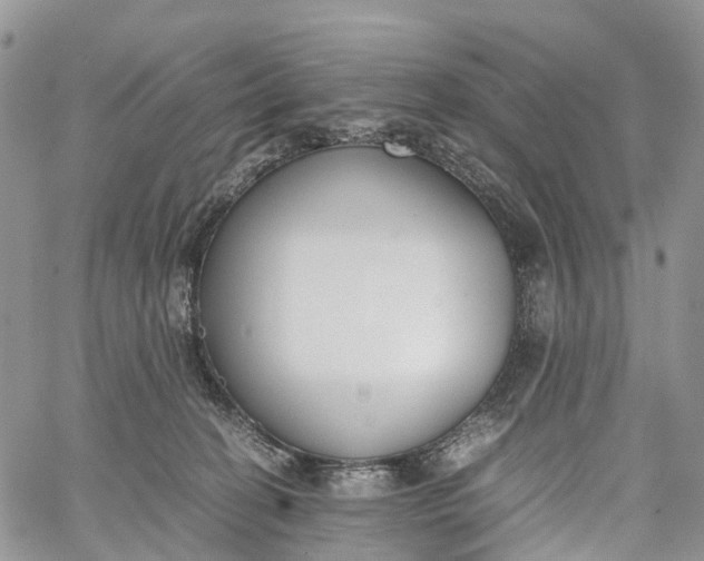 X0000062670274200601041017