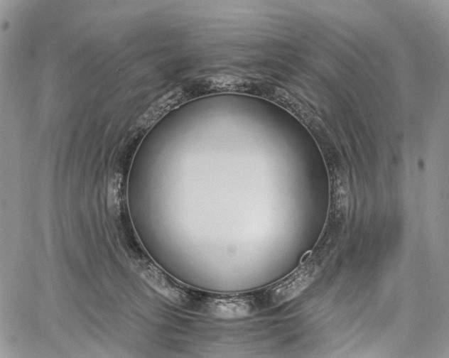 X0000062670275200601041017