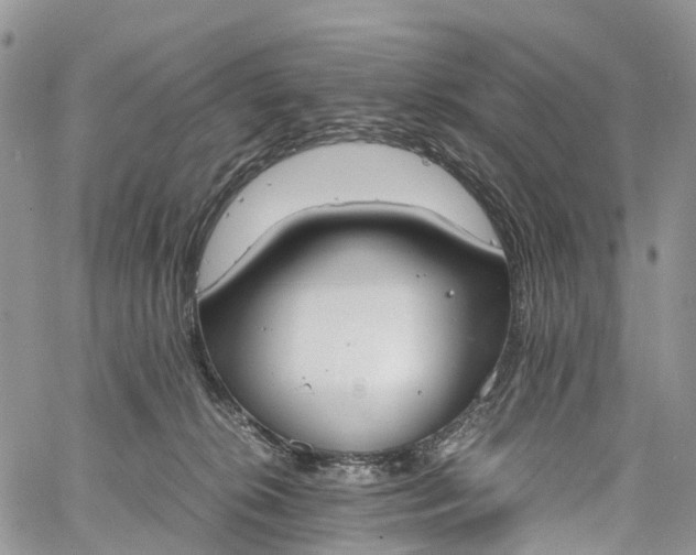 X0000062670276200601041017