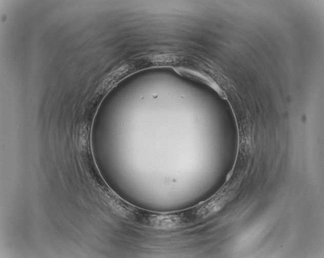 X0000062670277200601041017