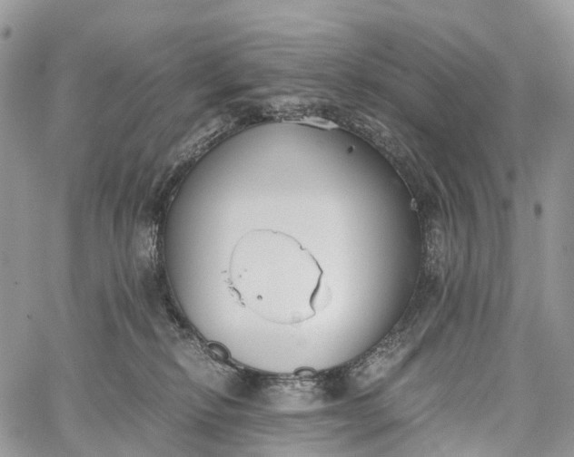 X0000062670278200601041017