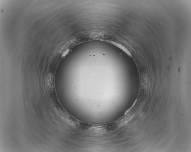 X0000062670280200601041017