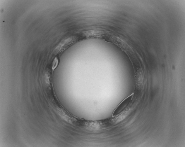 X0000062670282200601041017