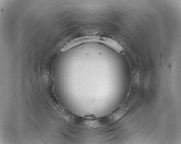 X0000062670283200601041017