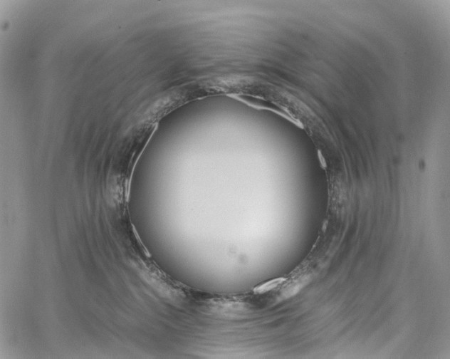 X0000062670284200601041017