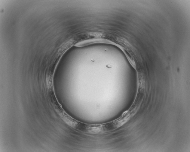 X0000062670285200601041017