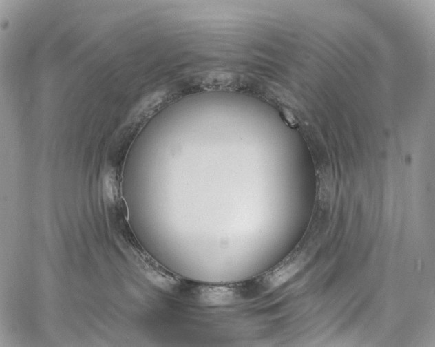 X0000062670287200601041018