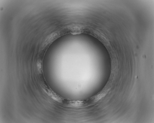 X0000062670288200601041018