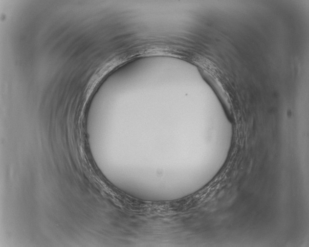 X0000062670289200601041017