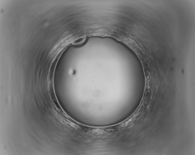 X0000062670290200601041017