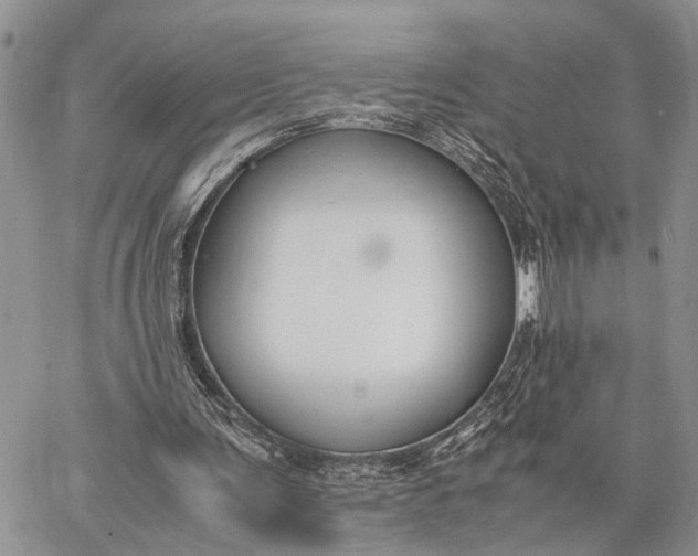 X0000062670291200601041017